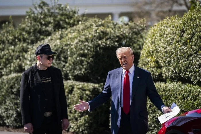 Trump looks at Musk's decisions