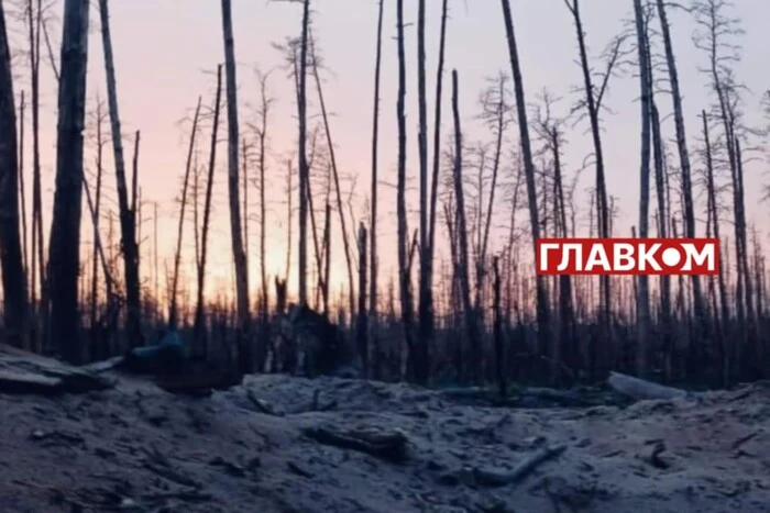 Ukrainian army soldiers in the forest