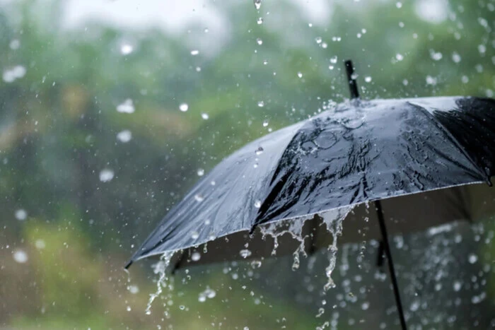 Rainy week of Ukrainian weather on March 24