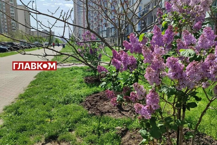 In der Ukraine wechselhafte Bewölkung: Wetter am 27. April
