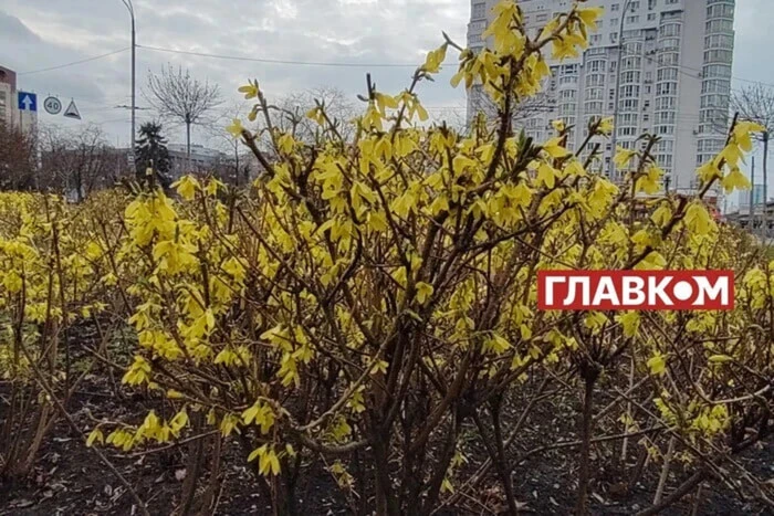 W Ukrainie pochmurno z rozpogodzeniami: pogoda na 26 kwietnia