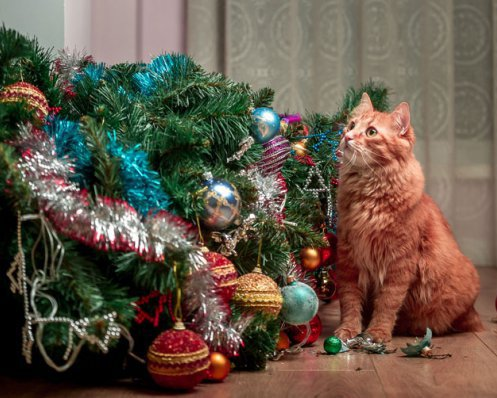 Wann und wie man den Weihnachtsbaum nach Volksüberlieferung heraustragen soll