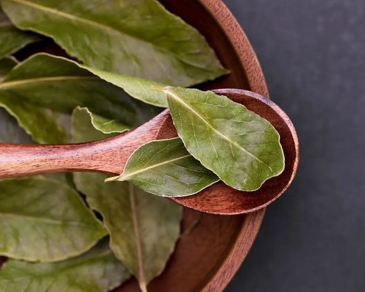 Laurel leaf in toilet before leaving