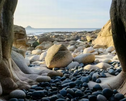 Beach with dinosaur eggs