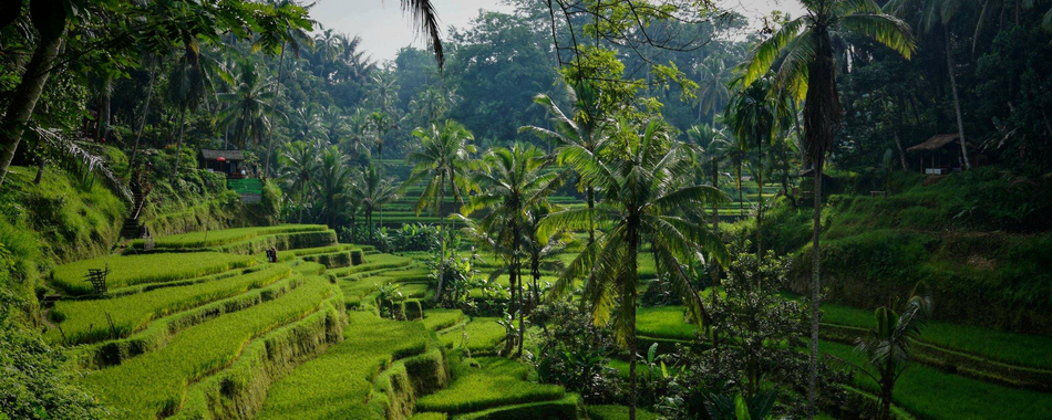 Welche Gehälter gibt es auf Bali?