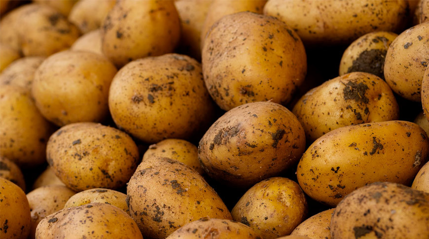 Potatoes in a basket with an open top