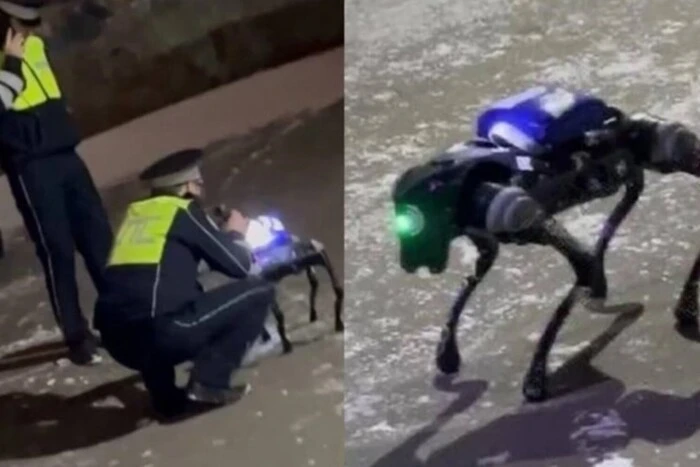 Ein Roboterhund-Drogenschmuggler schlenderte durch Moskau