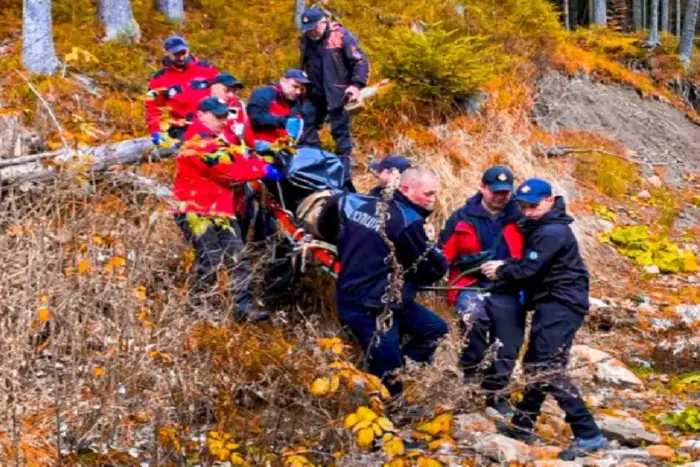 Search for mushroom pickers in the Carpathian mountains