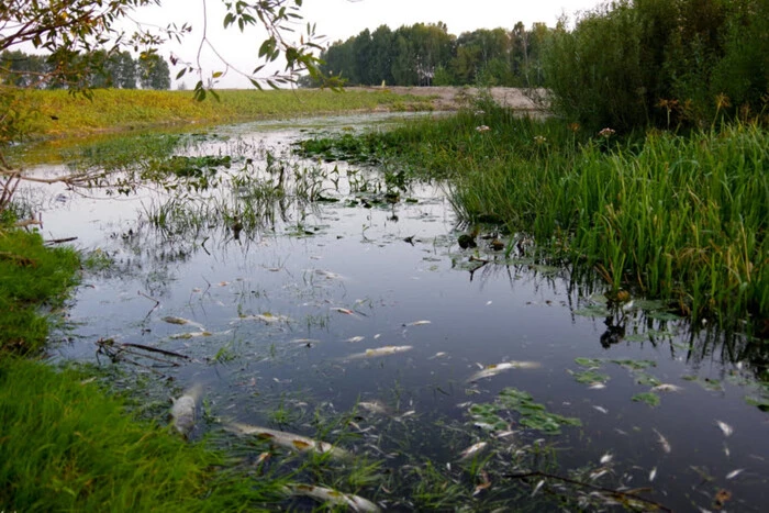 Threat of Dnipro pollution: Ministry of Environment prepares alternative water resources