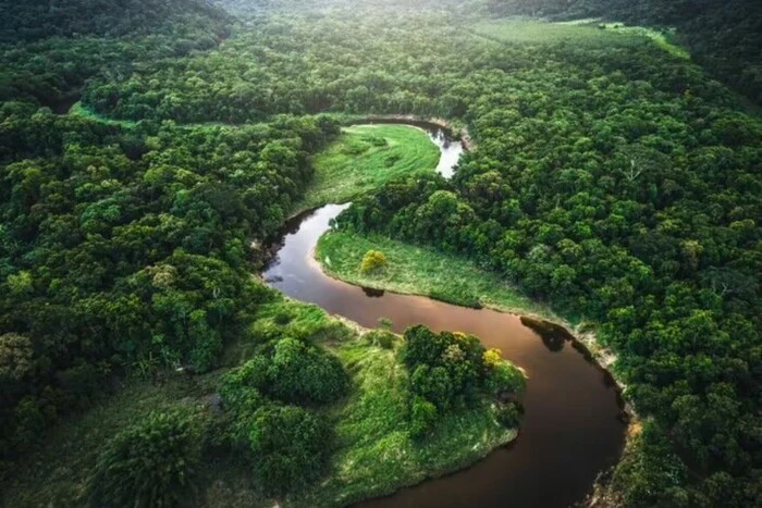 250 Jahre lang vor den Menschen verborgen: In Amazonas wurde eine verlorene Stadt entdeckt