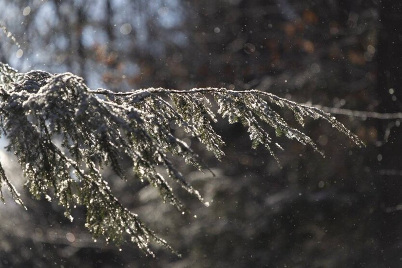 Mróz i oblodzenie: Hydrometeorologiczne Centrum Informuje o Pogodzie w Obwodzie Kijowskim