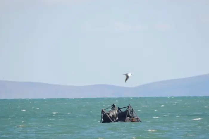 The sea is fenced near the Crimean Bridge. Photo