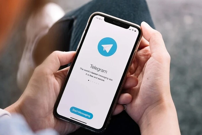 Заборона Telegram: обмеження університетів