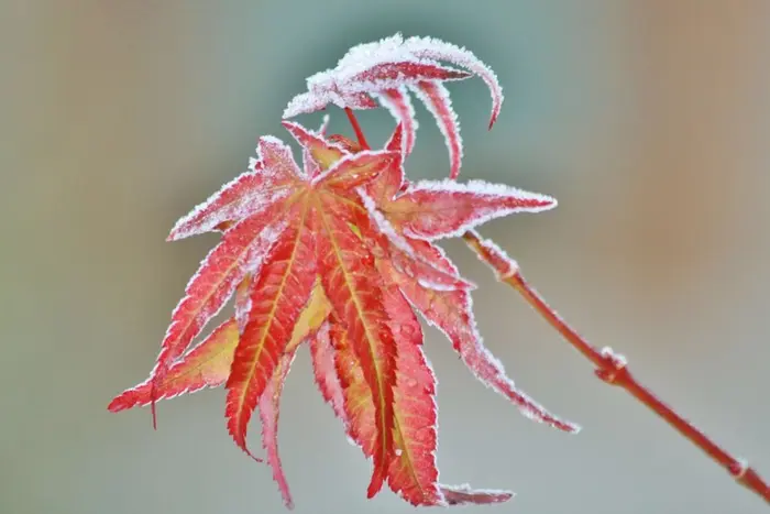 Das Wetter in der Ukraine wird sich drastisch ändern: Meteorologen warnen vor gefährlichen Phänomenen