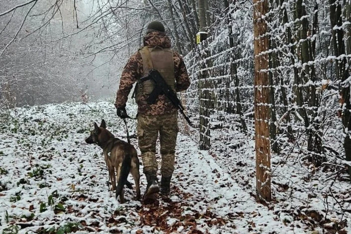 Trzy dni błądzili, ale do Rumunii nie dotarli: straż graniczna zatrzymała uchylających się