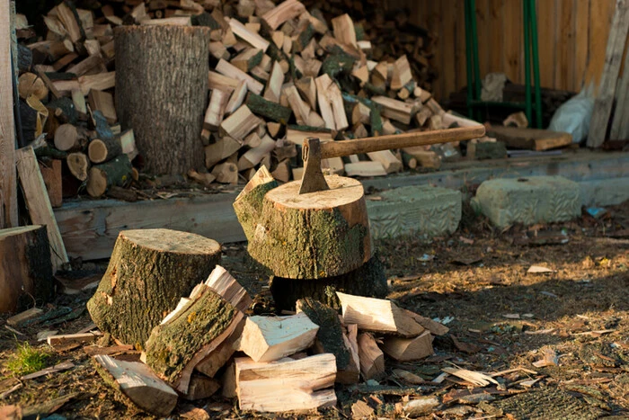 Für die Lagerung von Holz ohne Dokumente - Strafe oder Gefängnis. Wie reagieren Ukrainer auf den neuen Gesetzentwurf