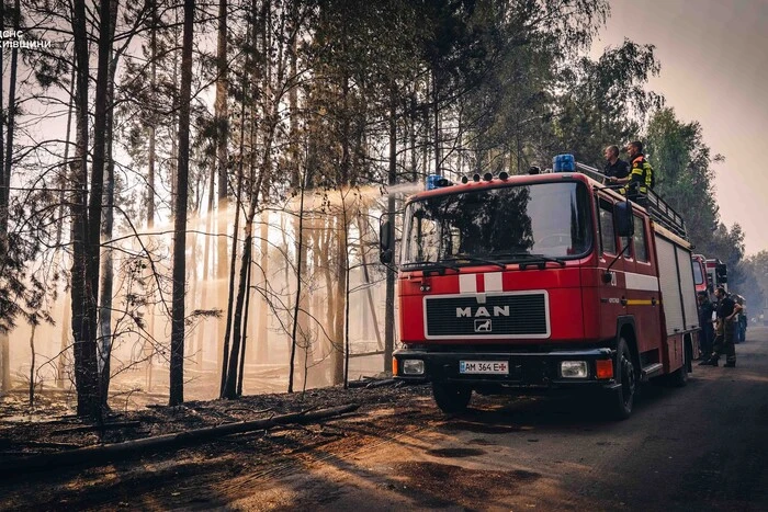 In der Kiewer Region kämpfen fast 400 Feuerwehrleute gegen Brände im Freien (Foto)