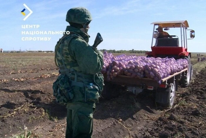 Грабіж урожаю фермерів на окупованих територіях