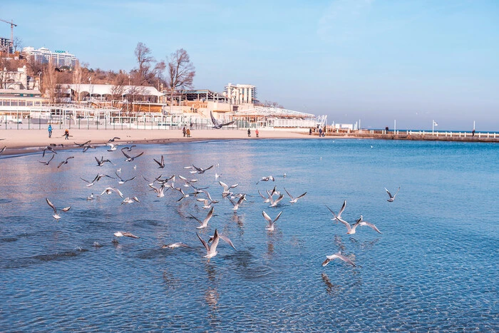 In Odessa wurde erneut der Temperaturrekord gebrochen