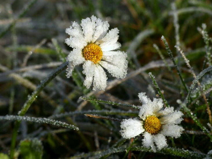 Warm spring weather in the Kyiv region