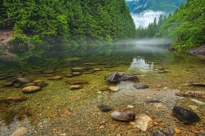 Відбувається порушення колообігу води