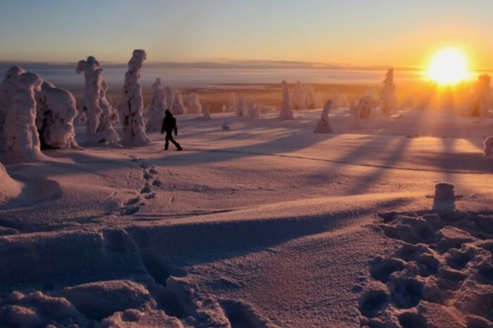 Finlandia jako pierwsza na świecie stworzyła ścieżkę dźwiękową swojej natury