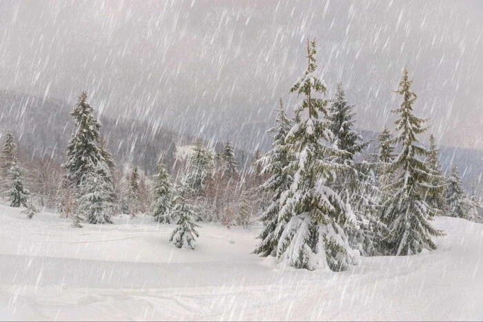 Danger: snowstorm in western Ukraine