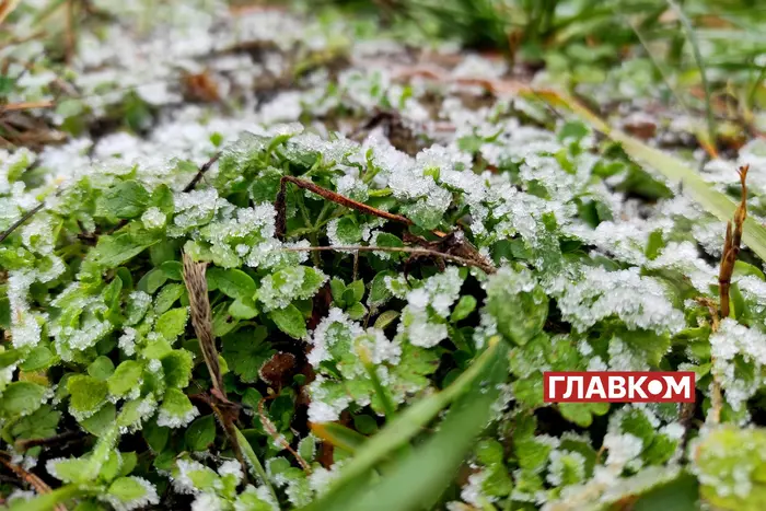 Перший сніг зближається до України