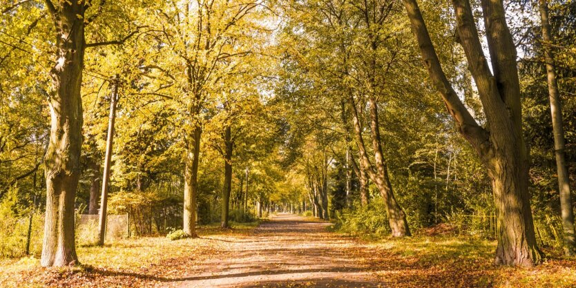 Das antizyklonische Xelat brachte unerwartete Temperaturunterschiede in die Region Kiew