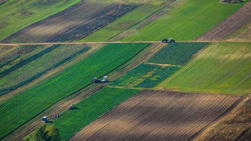 Podnajem gruntów: Ukraińców zmuszą do sporządzania paszportów agrochemicznych