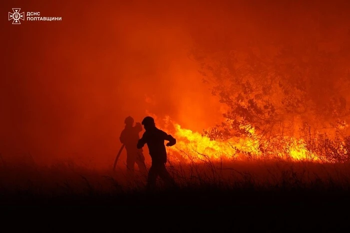 Пожежі в Україні: області, деталі, ДСНС