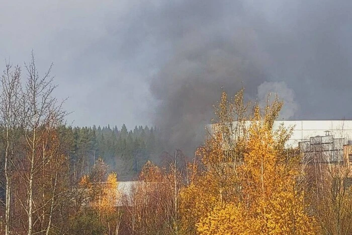 W jednym z największych przedsiębiorstw branży elektrotechnicznej RF pod Moskwą zapalił się pożar (wideo)