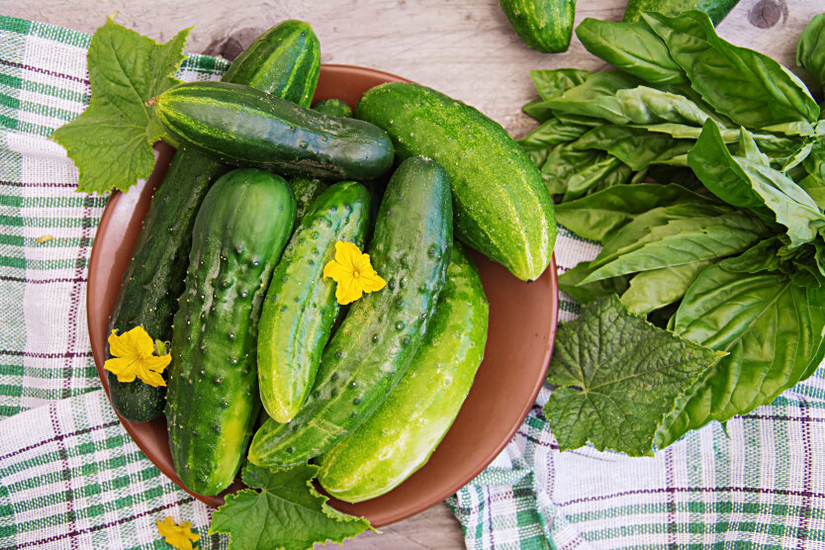 Prices for cucumbers are rising in Ukraine