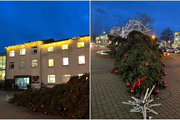 Der Wind hat Weihnachten gestohlen. In vielen Städten Litauens hat das Unwetter die Weihnachtsbäume umgeworfen