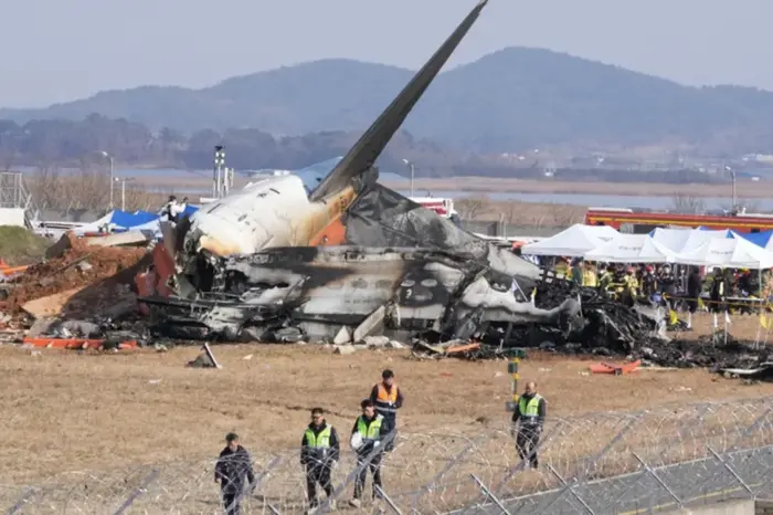 Air disaster in South Korea. Investigation of causes