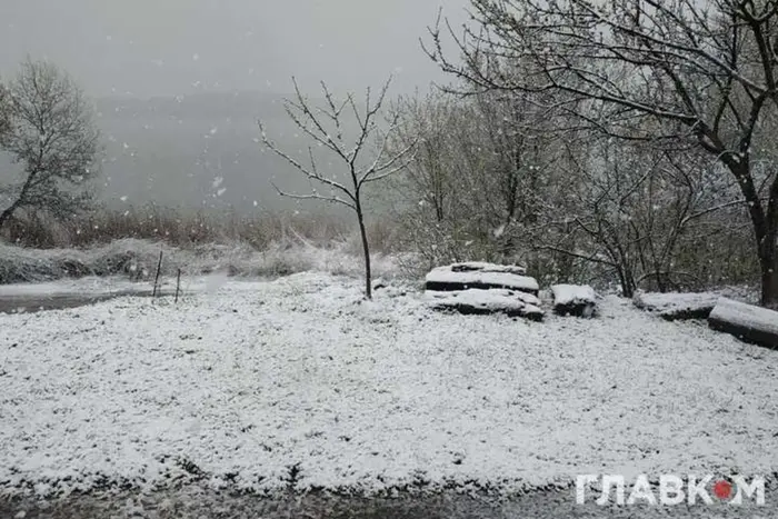 Синоптична з утриманням картина погоди