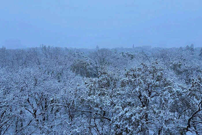 Снежное покрытие Винницы: вызов коммунальщикам