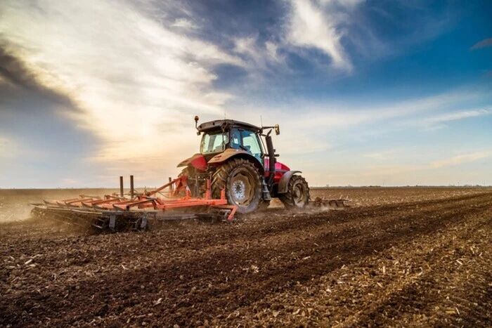 Odessa Agrarier haben fast die Hälfte der Flächen für Wintergetreide für die Ernte 2025 ausgesät