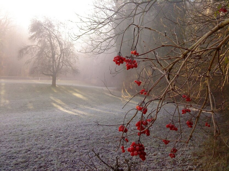 Severe frost in Kiev region