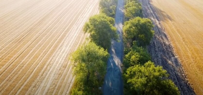 W Ukrainie odbyła się pierwsza licytacja w ramach 'Banku ziemi'