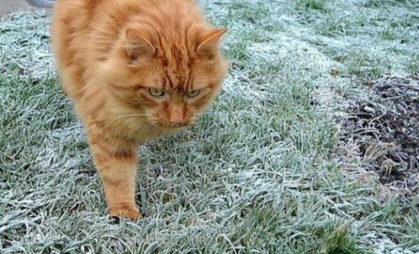 Frost im Oktober: Meteorologe warnt vor plötzlichem Kälteeinbruch in der Ukraine