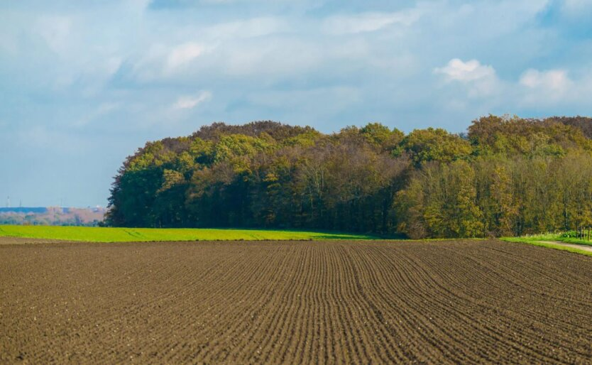 The deadline for the privatization of land shares