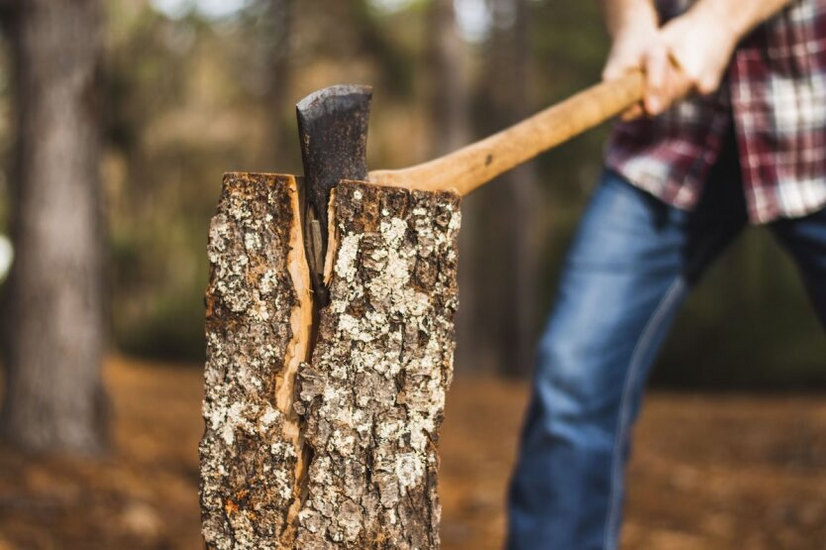 Legal way to stock up on firewood for the heating season