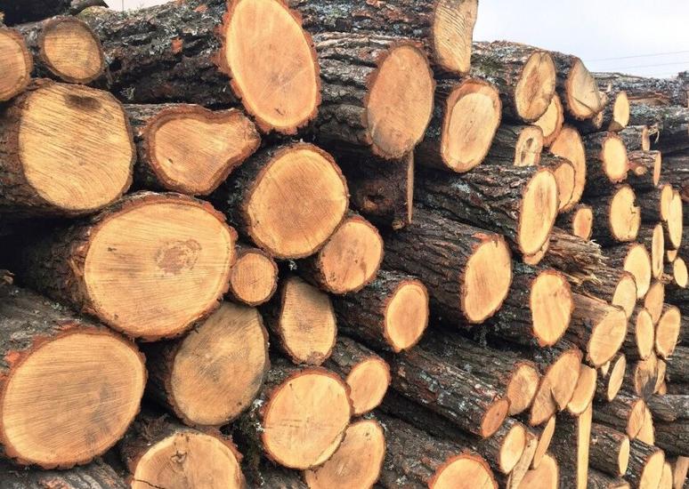 Fines and terms for storing firewood