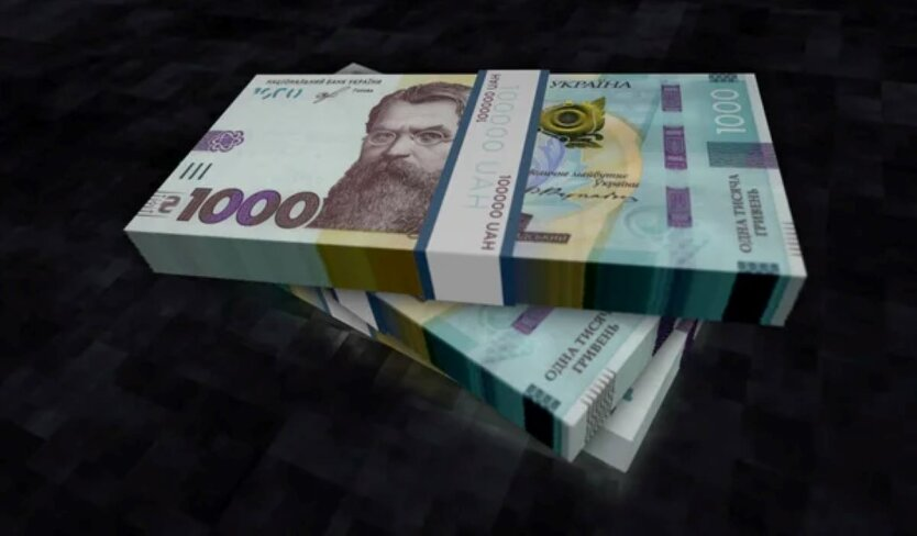 Hryvnia, NBU Council member, consequences of the president's initiative