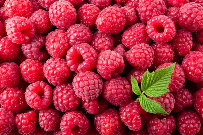 Frozen raspberry - new export record