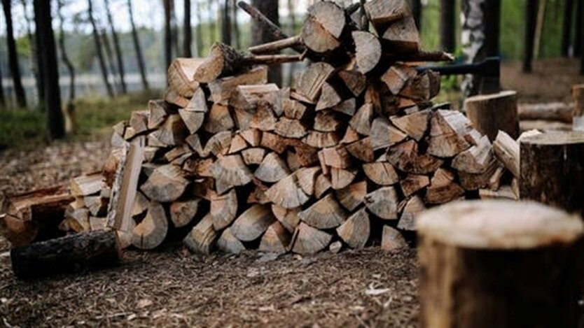 Prohibition on gathering firewood: fines and liability