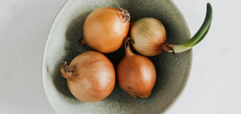 Onion prices skyrocket in Ukraine: what affects the price