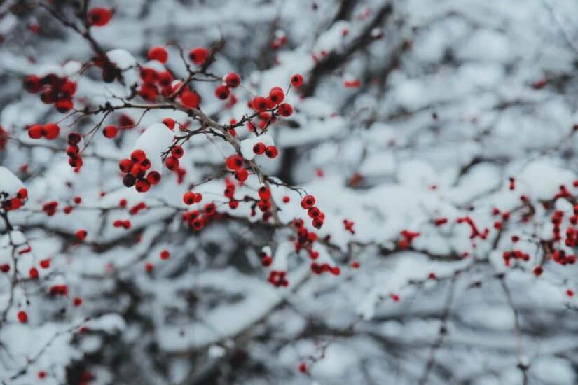 Bez opadów, ale z mrozem: Główny Urząd Meteorologiczny poinformował, na jakie warunki pogodowe czekać w Kijowszczyźnie