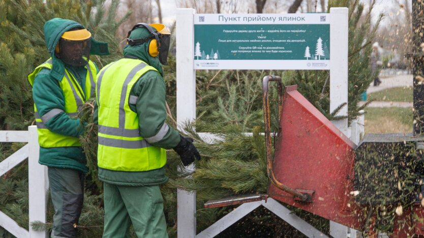 Christmas tree collection points in Kyiv